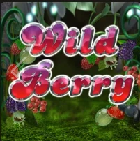 Wild Berry játékborító — SpinBetter